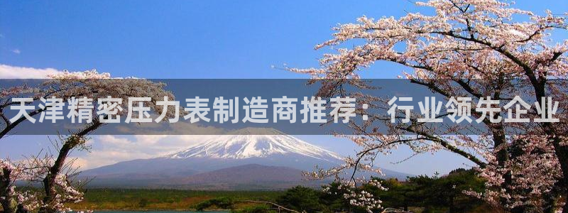 彩神争霸官方下载：天津精密压力表制造商推荐：行业领先企业