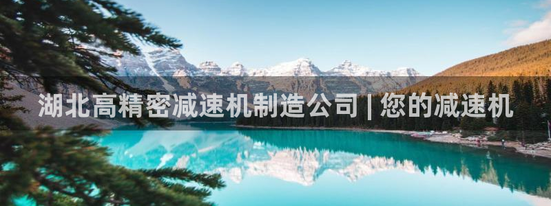 彩神8官网版是正规的吗：湖北高精密减速机制造公司 | 您的减速机